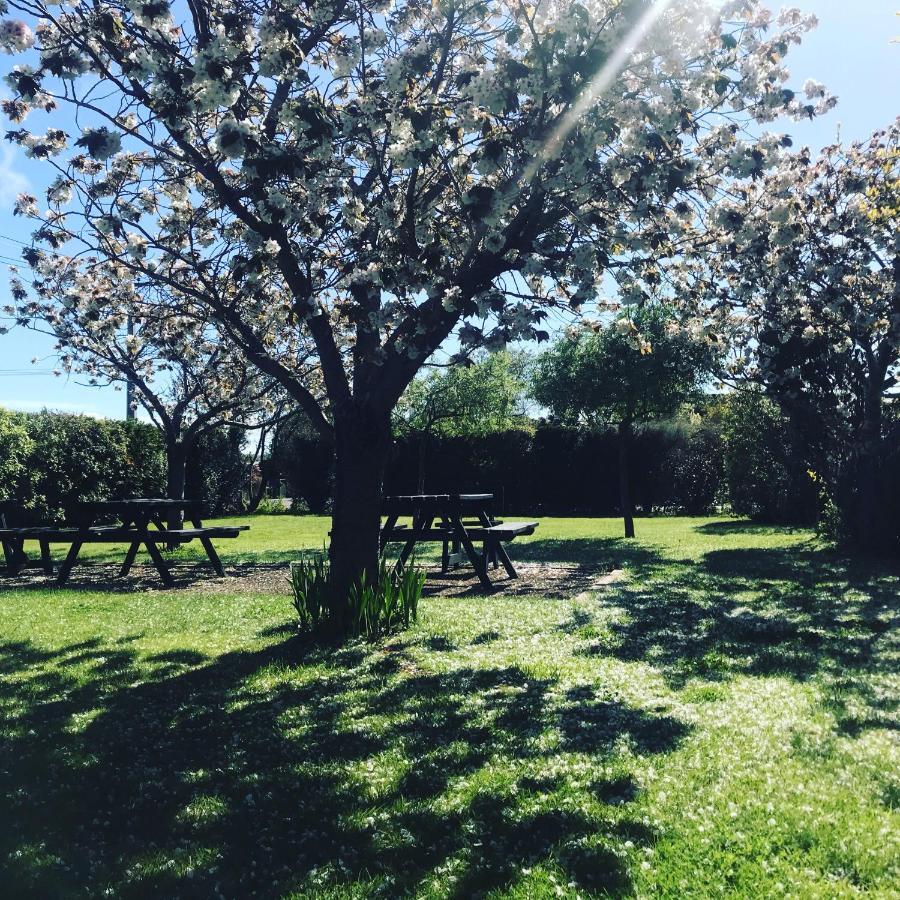 Pinot Villas Martinborough Bagian luar foto