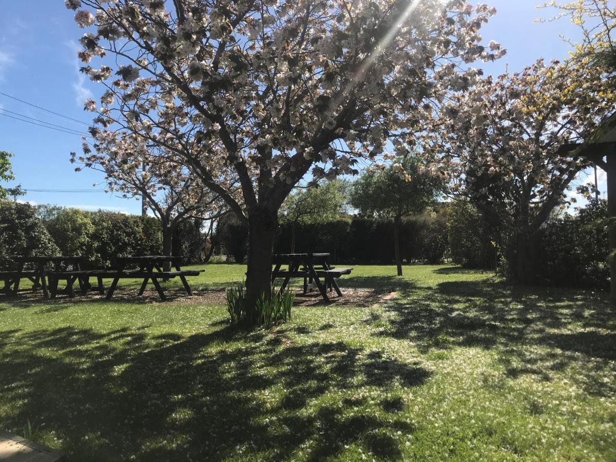 Pinot Villas Martinborough Bagian luar foto